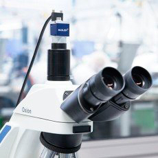 Пополнение в ассортименте камер для микроскопии: новая камера высокого разрешения